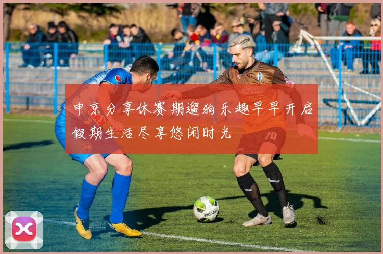 申京分享休赛期遛狗乐趣早早开启假期生活尽享悠闲时光