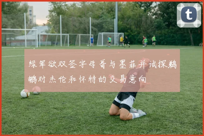 绿军欲双签字母哥与墨菲并试探鹈鹕对杰伦和怀特的交易意向